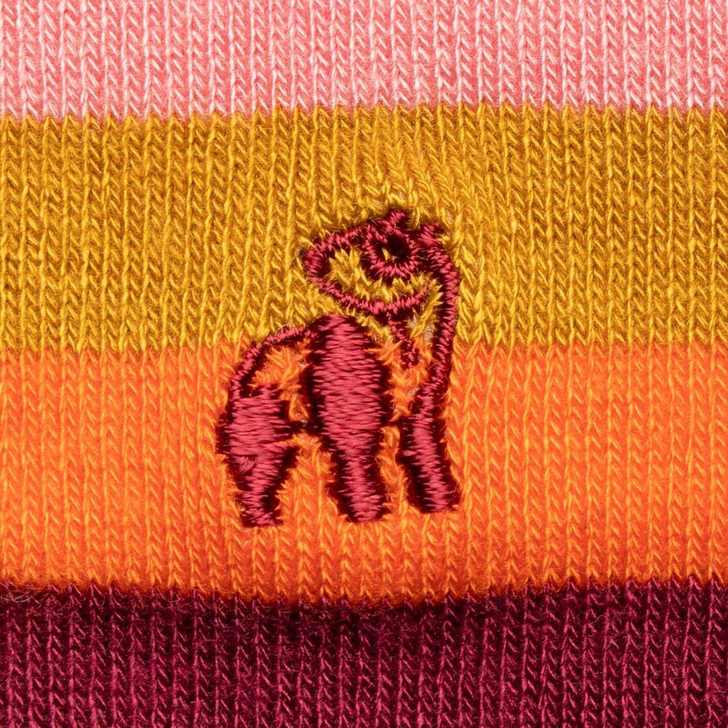 Spots & Stripes Sock Bundle