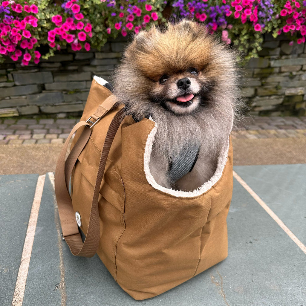 Small dog inside a brown bag with flowers in the background