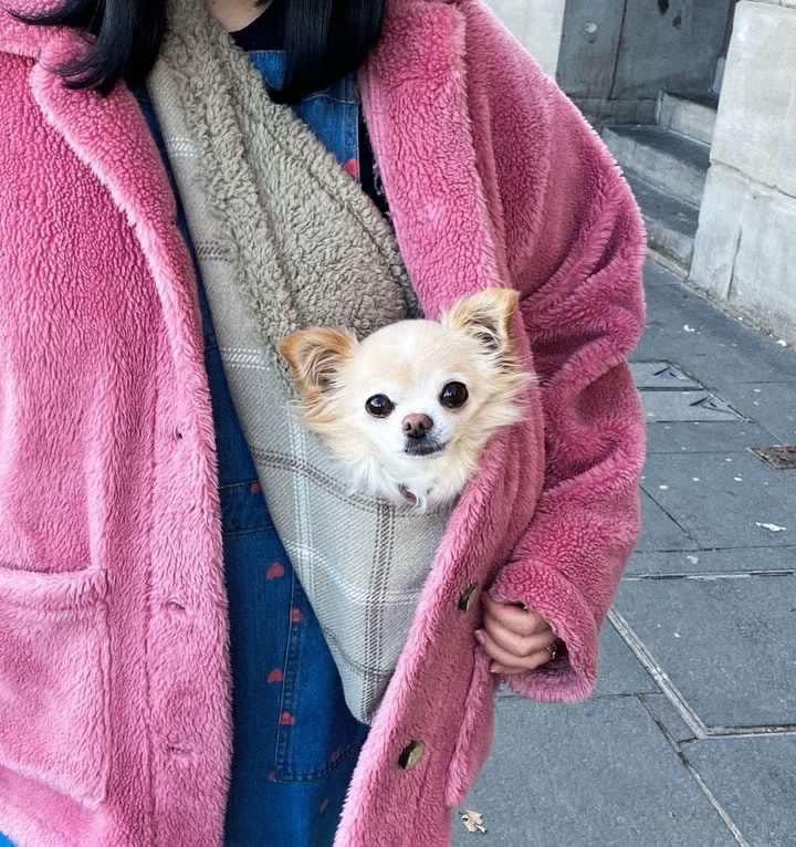 Person wearing a pink coat holding a small dog