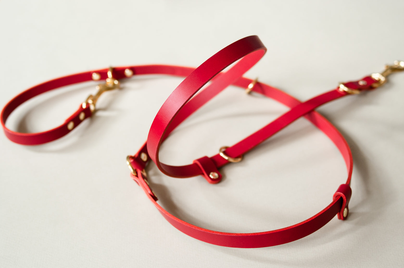 Leather Multi Lead
