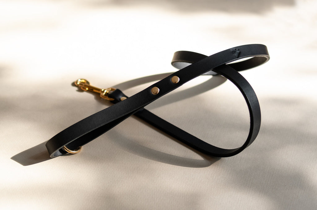 Classic Leather Lead