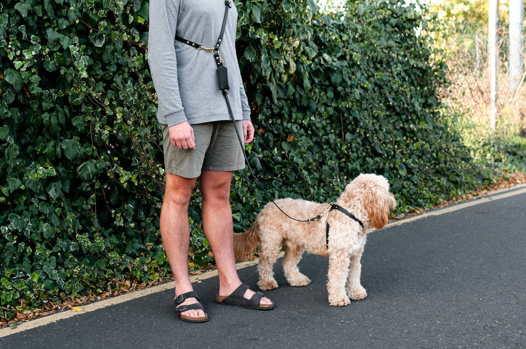 Leather Multi Lead