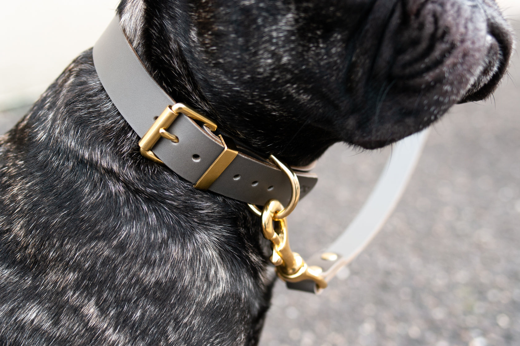 Classic Leather Collar