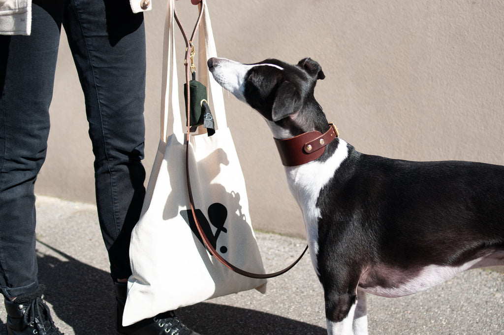 Cotton Tote Bag