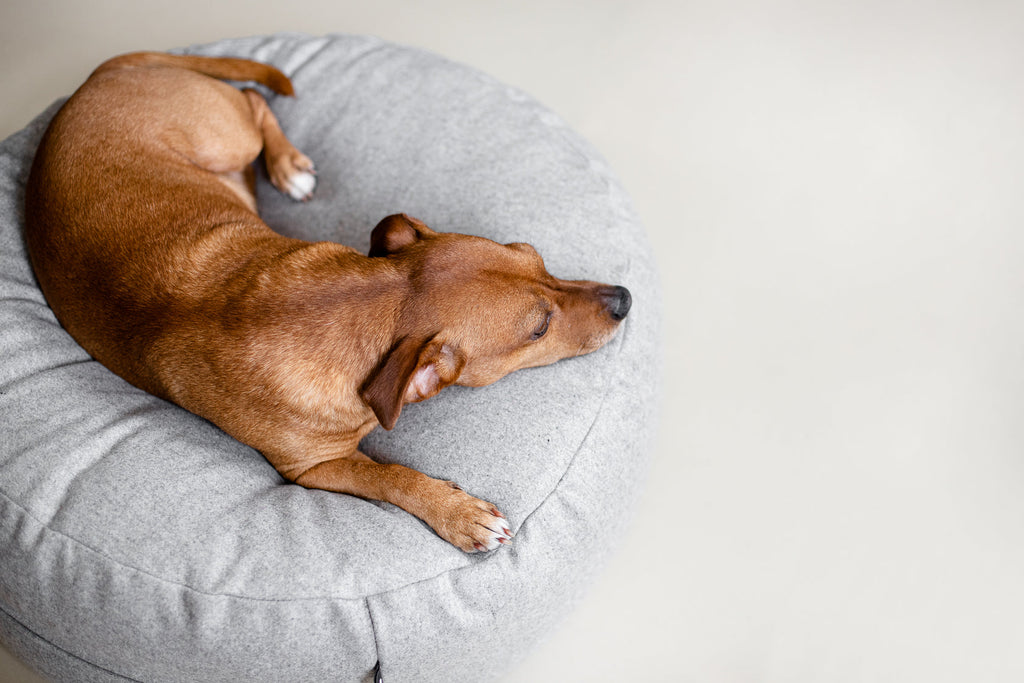 Ö Floor Cushion