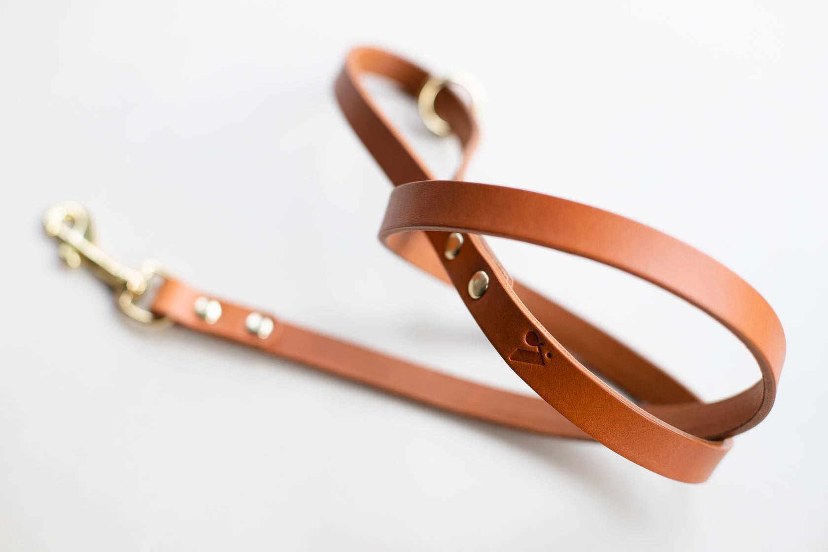 Classic Leather Lead