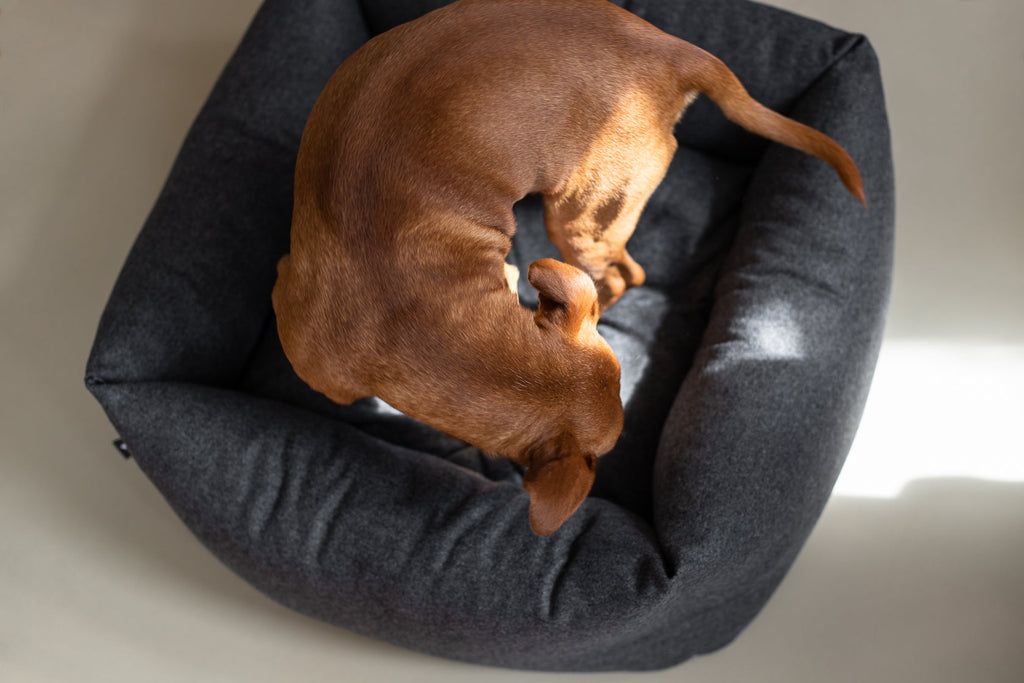 Fort Bolster Bed