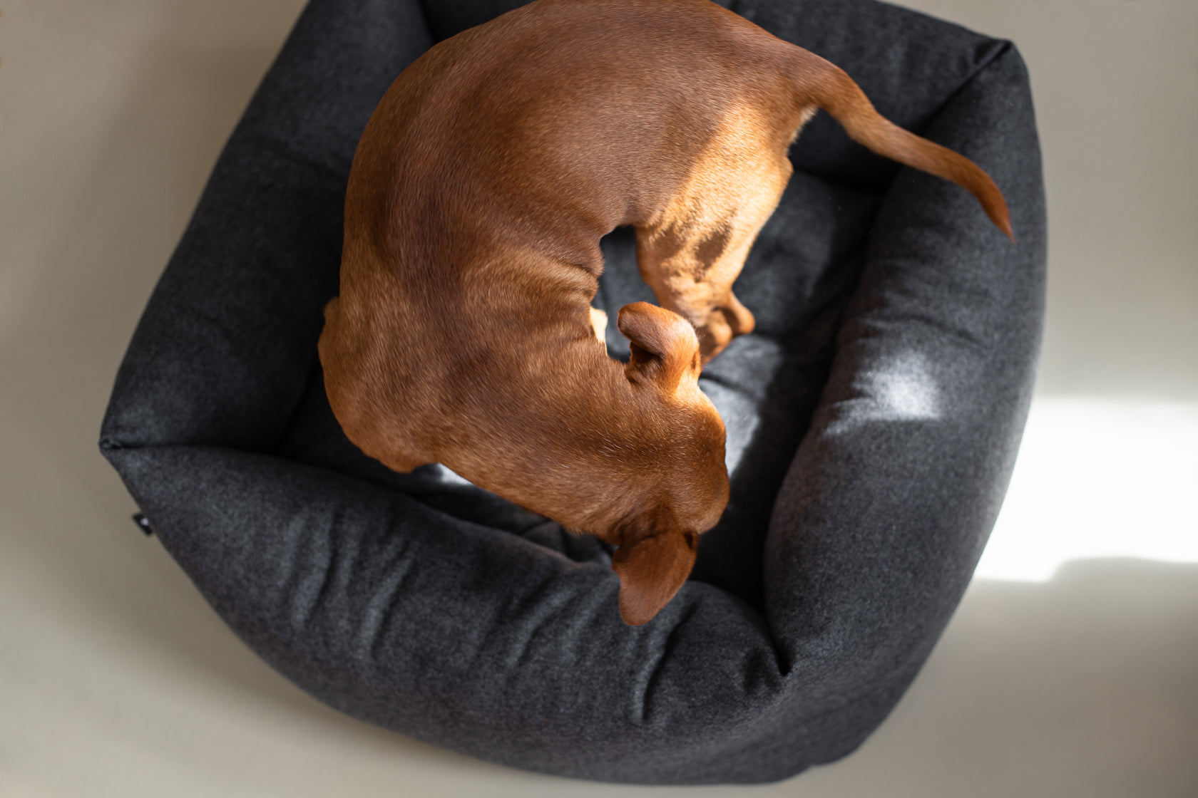 Fort Bolster Bed