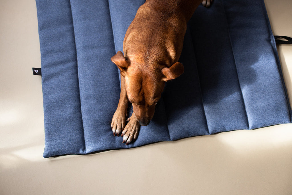 Travel Mat