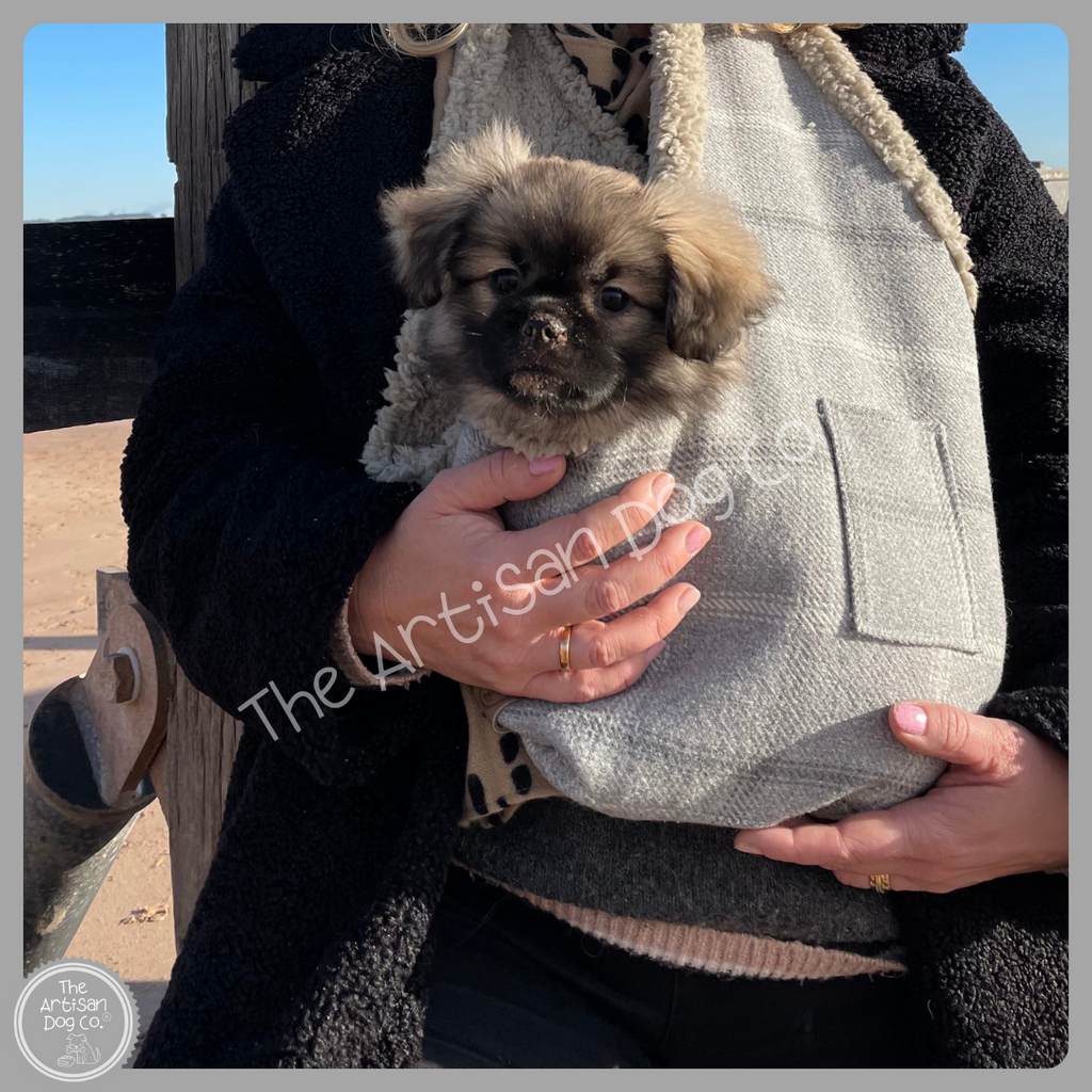 Person holding a small dog in a gray pet carrier with 'The Artisan Pooch' branding.