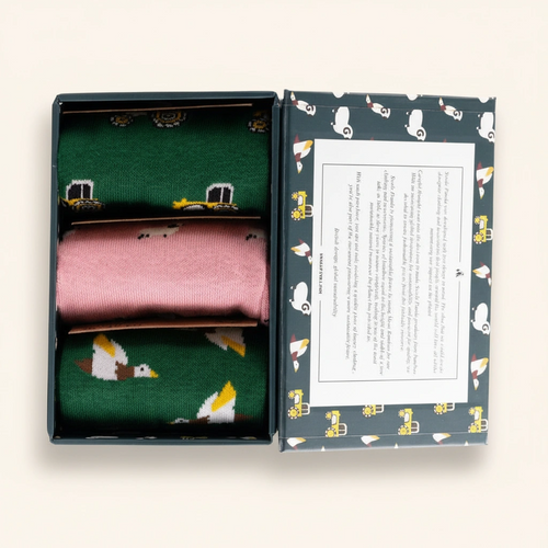 Three pairs of socks in a decorative box with a patterned interior.