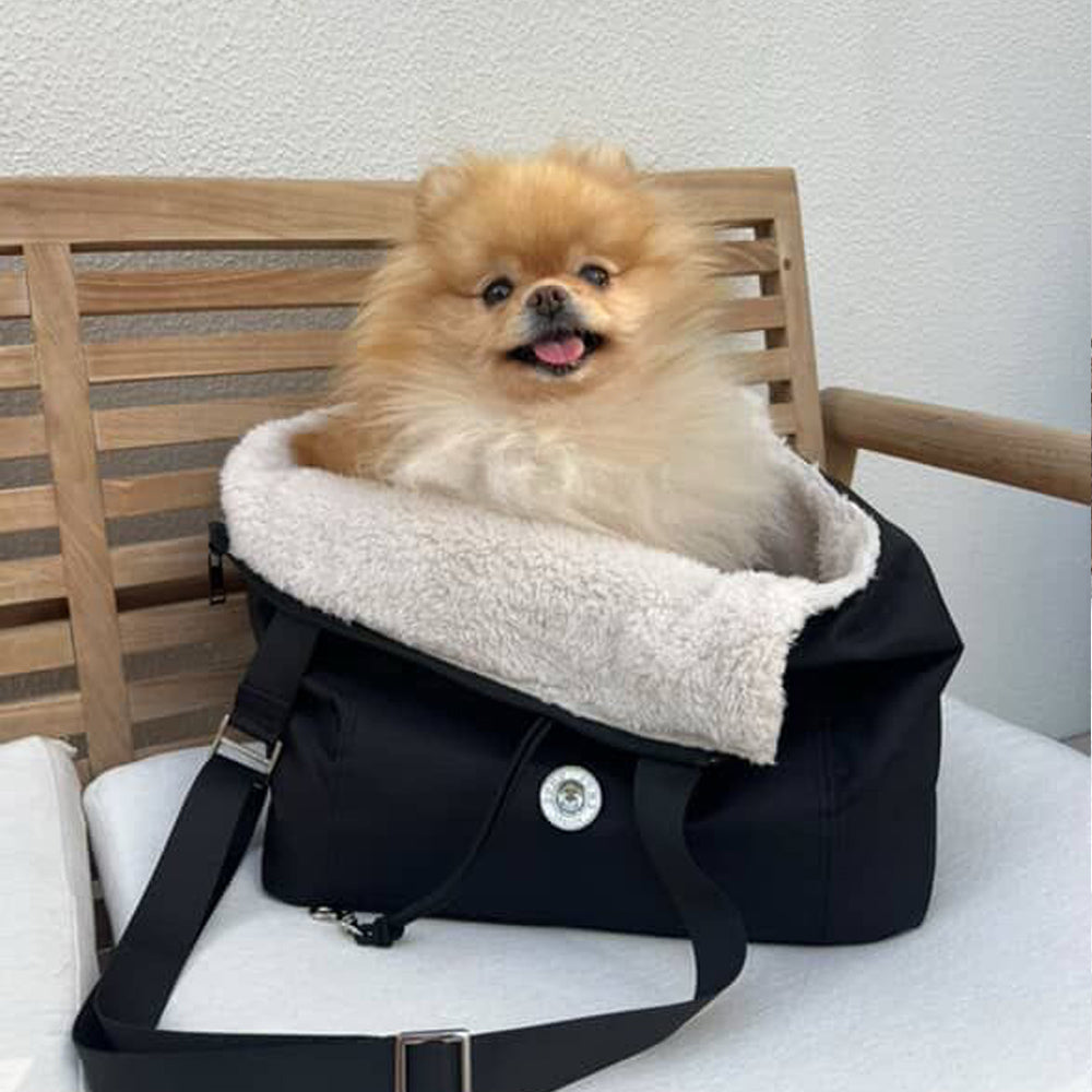 Small dog sitting in a black pet carrier with white interior on a wooden chair.
